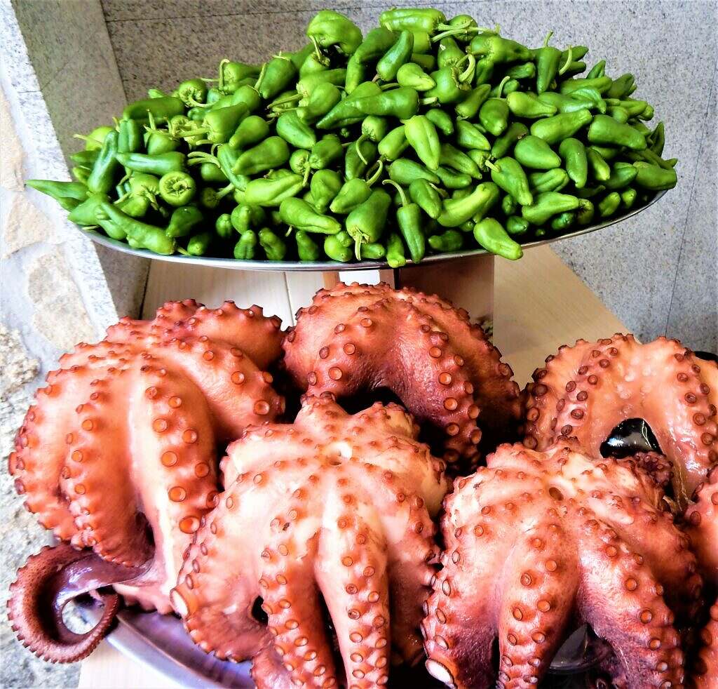 spain, food, octopus